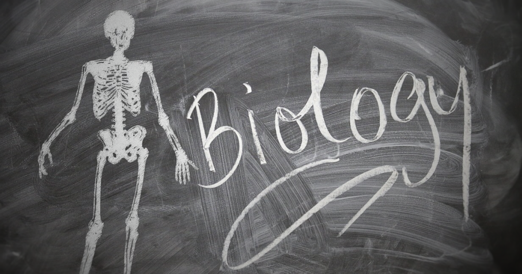 skeleton on chalkboard